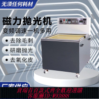 {最低價 公司貨}磁力研磨機鋼針光亮劑研磨桶打磨拋光一體除銹去毛刺自動變頻設備