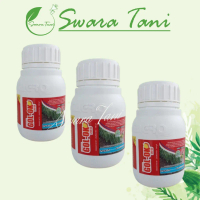 Q&J Gol-Ok 240Ec Herbisida Pra Tumbuh 100Ml Original Promo SpecialAo246