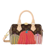 LOUIS VUITTON YAYOI KUSAMA SPEEDY 20