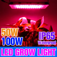 LED Hydroponic Lamp 220V LED Phytolamps Full Spectrum Led Plant Light 50W 100W Grow Light Greenhouse Seeds Flower Grow Lighting
