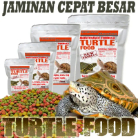 Turtle turtles food makanan kura kura ambon res brazil ast cst 125gr