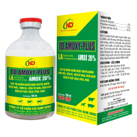 TD.AMOXY-PLUS (AMOX 20%)- Đặc trị nhiễm khuẩn bệnh truyền nhiễm, viêm phổi, viêm vú, viêm khớp trên 
