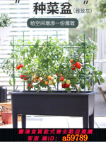 【台灣公司 可打統編】家庭陽臺種菜神器塑料種植箱戶外樓頂栽蔬菜花盆長方形花箱簡約風