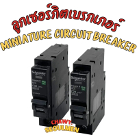 SCHNEIDER ลูกเซอร์กิต SQUARE D 1P สแควดี ลูกย่อย