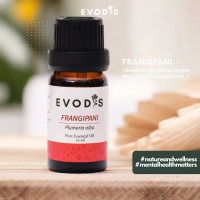 Pure Essential Oil Minyak Aromaterapi Frangipani Kamboja 10ml