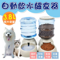 超大容量3.8L自動飲水餵食器 飼料碗 水碗 寵物碗 寵物飼料碗 寵物餵食 寵物餐具 狗碗 貓碗