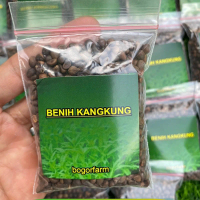 BENIH KANGKUNG SUPER 1.00 BENIH | SAYUR KANGKUNG | 100% KANGKUNG SUPER