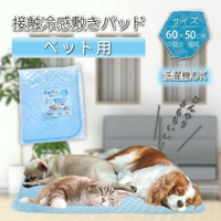 寵用涼感墊 60×50cm 睡墊 涼墊 寵物床 涼毯 透氣降溫 狗 貓 寵物 夏天必備 - 60×50cm 睡墊 涼墊 寵物床 涼毯 透氣降溫 狗 貓 寵物