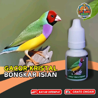 Vitamin Burung Emprit Finch Goldfinch