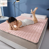 素色牛奶絨床墊墊褥軟墊臥室家用珊瑚法蘭絨床褥子毯墊被冬季加厚
