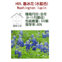 【蔬菜工坊】H05.魯冰花種子(水藍色)