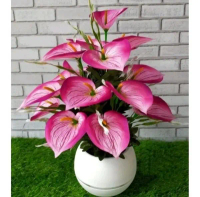 Pajangan Bunga set bunga sudut anthurium / bunga Lilly / bunga Aron dengan pot bola jumbo