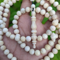 Tasbih Iga Duyung Original