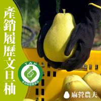 【麻營農夫】麻豆文旦柚10台斤x1箱(產銷履歷)