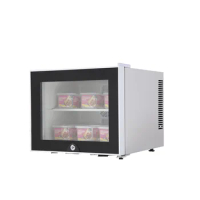 2023 sales 20L Cosmetics mini Refrigerators fridge freezers for hotel