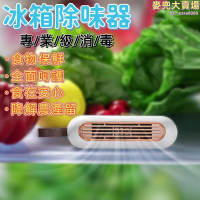 冰箱除味器 空氣清淨機 負離子空氣淨化器 除味神器 異味臭氧器 蔬菜保鮮 寵物房除臭 usb充電