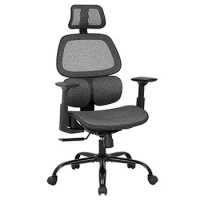 Mesh Ergonomic Office Chair High Back Adjustable Lumbar Support Swivel Grey 250lb Limit