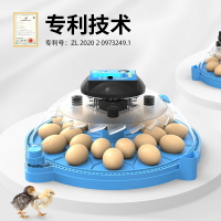 高端孵化器小型家用全自動智能小飛碟孵蛋器鸚鵡蘆丁雞鳥蛋孵化箱110V