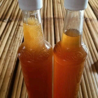 Madu Odeng Hutan Baduy Asli