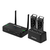 AVerMedia 圓剛 雙麥克風加座充組 AW315 教學專用無線麥克風
