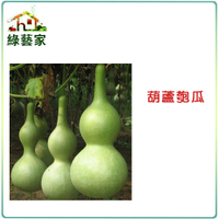 【綠藝家】大包裝G32.葫蘆匏瓜種子12克(約75顆)