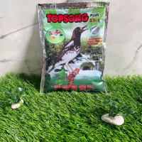 Pakan burung Topsong pakan burung