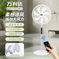大風力電風扇家用遙控落地扇搖頭風扇臥室靜音立式臺式可定時