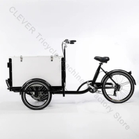 3 Wheel Cargo Food Logistics Tricycle With Top Lid Delivery Bike Shopping Bike For Sale
