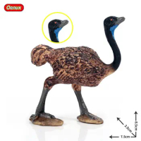 7.5*3.5*8.5CM Simulation wild animal model bird Australian emu ostrich children plastic toy ornaments