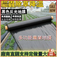 抑草席 除草 防草大棚果 樹防草 塑膠布 防草布 雜草抑制蓆 防草布地布 黑色除草墊 遮草布 蓋草布