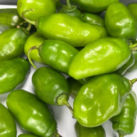 Cabe gendot cabai sayur fresh untuk penyedap makanan