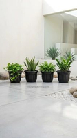 Pot Bunga Warna Hitam Garuda Ukuran 50