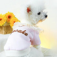 Small Dog Clothes Spring Summer Summer Teddy By Bear Two Feet Pet Clothes Letters Embroidered Lace Side Cake Dog Hoodie