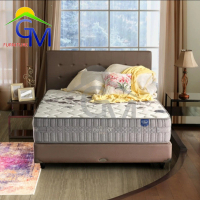 Elite Prudent Spring Bed Mattress (SET)