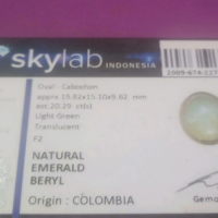 Natural EMERALD BERYL ORIGIN COLOMBIA 20 ct (s)