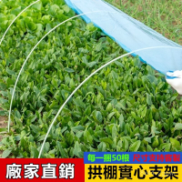 拱棚實心玻璃縴維桿 家用支架防蟲網專用 拱棚支架 支撐架 支撐桿 爬藤架 瓜棚架 遮陽網支架 防蟲網支架