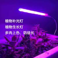 植物補光燈 植物補光燈生長燈多肉補光上色全光譜led燈長條燈管USB家用植物燈 快速出貨