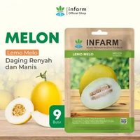 INFARM - Benih Melon Lemomelo Unggul, Bibit Buah Melon Golden Super Bibit Buah Melon Berkualitas