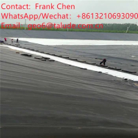 Hdpe Geomembrane Pond Liner For Sale Sheet Geomembrane HDPE Geomembrane Fish Farm Tank Pond Liner