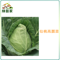 【綠藝家】大包裝B09.仙桃高麗菜種子7.5克(約1900顆)