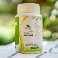 6herbs สูตร1 ขิง สมอพิเภก สมอไทย พริกไทยดำ ขมิ้นชั้น 90 แคปซูล