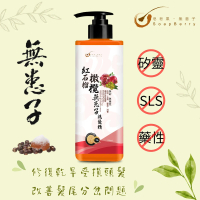 皂皂果紅石榴橄欖無患子洗髮精 500mL