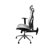 【Backbone】Viking™ 全方位樂手椅(人體工學椅)