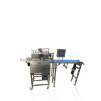 15KG chocolate enrobing production line free shipping by sea