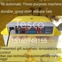 Electric Egg Incubator Household Small Chicken Warmer Warming Machine Floating