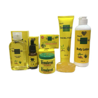 Kit Wajah Paket Krim Temulawak 7in1 BPOM