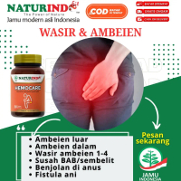 Obat Herbal Wasir Ambeyen Pelancar Bab Daun Ungu Obat Wasir benjolan anus