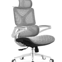 Commercial Furniture Mesh Chair Ergonomic Office Chair 1 Piece Aluminum Modern Lift Optional
