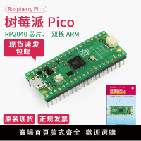 【可開發票】樹莓派pico開發板microPython編程套件 raspberry pico芯片RP2040