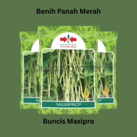 Benih Buncis Maxipro Small Pouch 225 Seeds - Benih Panah Merah